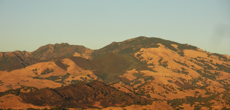 Mount Diablo landscape - golden hills of California